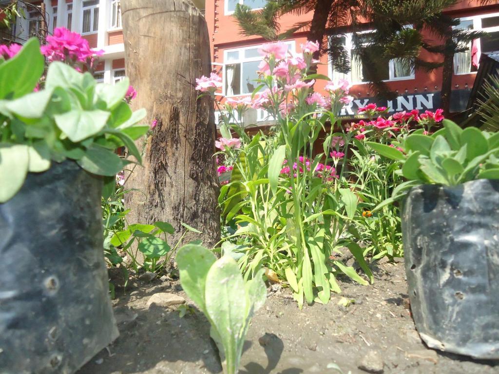 Discovery Bed & Breakfast 2*